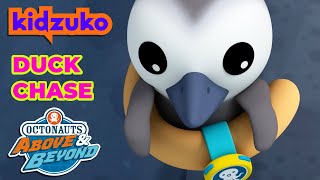 Octonauts Above amp Beyond  🦆 Duck Duck Goose Chase 🪺  Compilation  KidzukoSony​ [upl. by Ardell]