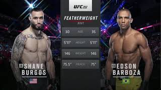 Free Fight Edson Barboza vs Shane Burgos [upl. by Arehc]