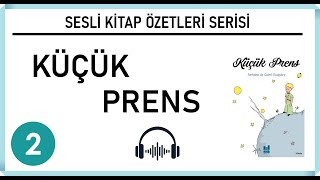 Küçük Prens Kitap Özeti  Sesli Kitap Özetleri Serisi 2 [upl. by Rosco]