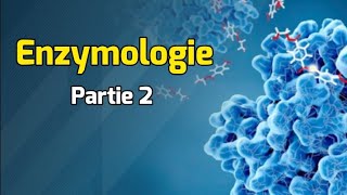 Classification des enzymes  Cours Enzymologie partie 2 [upl. by Poliard277]