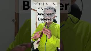 デイ・ドリーム・ビリーバー Daydream Believer ザ・タイマーズ 忌野清志郎 The Monkees モンキーズ ソプラノリコーダー [upl. by Madian372]