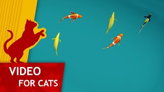 Cat Games  Pond Full of Fish Cat video for big screens [upl. by Antone338]