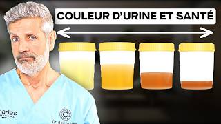 Ce Que La Couleur de Votre Urine Révèle sur Votre Santé [upl. by Eliak]