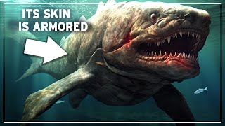 Devonian The LittleKnown Era When Armored Prehistoric Sharks Dominated the Seas DOCUMENTARY [upl. by Nylhsoj]