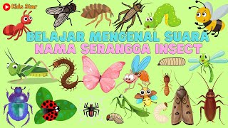 BELAJAR NAMA SERANGGA DALAM BAHASA INGGRIS  NAMES OF INSECT LEARN ANIMALS NAMA BINATANG NAMA HEWAN [upl. by Temhem]