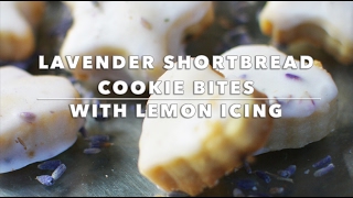 Lavender Shortbread Cookie Bites with Lemon Icing [upl. by Anaylil]