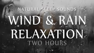 Wind and Rain Relaxation Two Hours Natural Sleep Sounds White Noise for Sleep Study Meditation [upl. by Ranite]