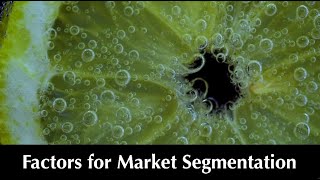 Factors for Market Segmentation 340 [upl. by Aman844]