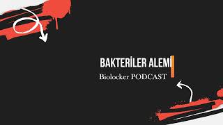 Bakteriler Alemi PODCAST Biyoloji podcast [upl. by Ness60]