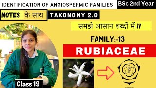 Rubiaceae Family ☕ Floral diagram and formulas  Taxonomy  Economic importance [upl. by Ahseki98]