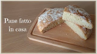 Pane fatto in casa  impasto veloce con forchetta [upl. by Hsiekal]