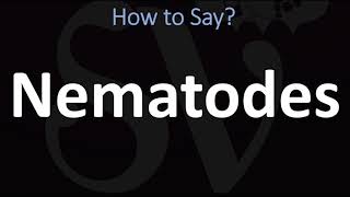 How to Pronounce Nematodes CORRECTLY [upl. by Heddi]