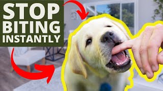 How To Stop Puppy Biting Instantly [upl. by Nesnar]