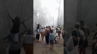 கொட்டும் பனியில் ஐயப்ப பக்தர்கள் சாமி தரிசனம்  heavy snow at sabarimala pilgrimage after a rain [upl. by Daffie]