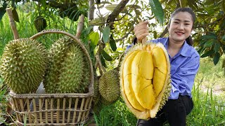 Durian fruit season  Have you ever harvested durian fruit and cooked   Countryside life TV [upl. by Armstrong]