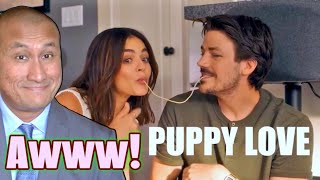 PUPPY LOVE Freevee Movie Review 2023 Starring Grant Gustin and Lucy Hale [upl. by Tepper218]