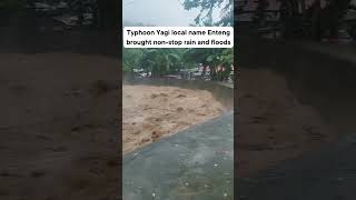 Typhoon Yagi Unleashes Powerful Floods 🌧️🌪️  Watch the Chaos Shorts [upl. by Hadlee]