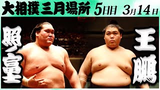 大相撲 照ノ富士ー王鵬＜令和６年三月場所５日目＞SUMO [upl. by Alehtse]