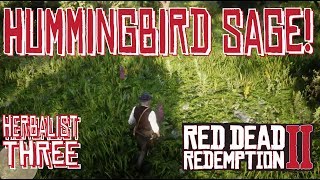 Hummingbird Sage Locations Red Dead Redemption 2 [upl. by Nevuer]