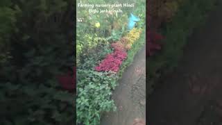 farming nursery plant Gamla Port Hindi Urdu [upl. by Ailana813]