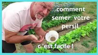 Comment semer votre persil  pour lautomne [upl. by Gnem]