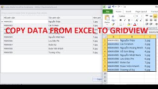 DEVEXPRESS Tutorial Copy Data From Excel Paste Gridview 2016 [upl. by Wirth]