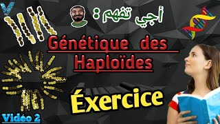 Vidéo 2 Génétique des Haploïdes en Arabe SVI S4 Exercice facile et important [upl. by Ecirtnom]