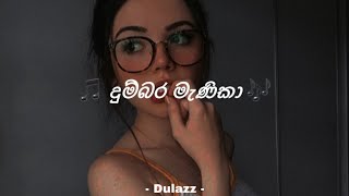 Dumbara Manika  දුම්බර මැණිකා  slowed  reverb [upl. by Caves]