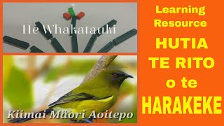 HUTIA TE RITO O TE HARAKEKE [upl. by Mailliw427]