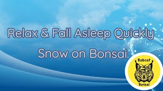 Fall Asleep Quickly With Snow on Bonsai [upl. by Refinnaj]