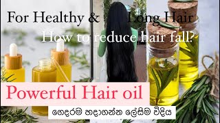 How to make Rosemary oil For Healthy amp long hair Hair fall solutionගෙදරදීම හදාගන්න ලේසිම විදිය🤗🍃🌿 [upl. by Ryhpez]