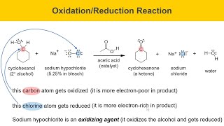 Green Oxidation of Cyclohexanol Experiment Part 1 Prelab [upl. by Delilah37]