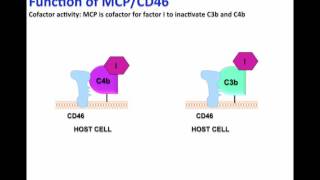 MCP 2016 [upl. by Cahilly]