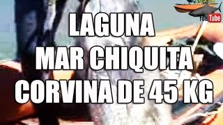 Corvina Negra Gigante 45 kG pescada en laguna Mar Chiquita [upl. by Styles]