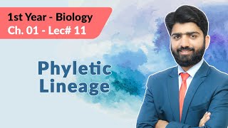 11th Biology Ch 1 Phyletic lineage  1st Year class Biology Ch 1 Phyletic lineage [upl. by Youngran]