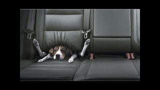 Best Car Commercials Ever  Greatest Car Ads All Time  The Used Car Guy [upl. by Ahsiekat706]