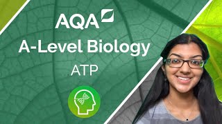 AQA A Level Biology ATP [upl. by Nek900]