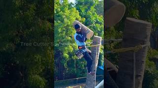 8610339350 tree cutter Suyambu  arul tree cutting [upl. by Arema551]