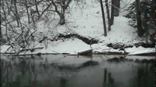 Steelhead Fishing In December 2007 [upl. by Ramsey733]