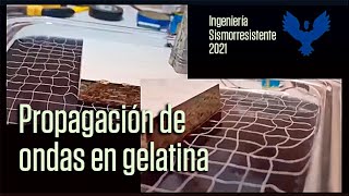 Propagación de ondas en gelatina [upl. by Akenal]