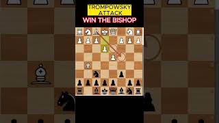 TRAP IN CHESS TROMPOWSKY ATTACK shorts chessopeningtrap openingtraps chesstrapschessmastertrap [upl. by Ardisj]