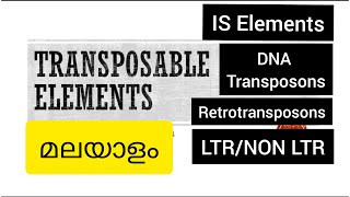 Transposable Elements  IS Elements  Retroransposons  DNA Transposons Prokaryotes amp Eukaryotes [upl. by Tomasz]