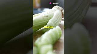 5 Amazing Celery Root Facts You Didnt Know  shorts facts shortsfeed CeleryRoot Celeriac [upl. by German309]