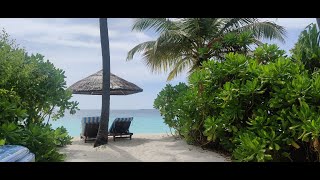 Deluxe Jacuzzi Beach Villa Reethi Faru Resort Maldives [upl. by Vullo]