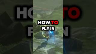 Flying in BOTW beats zelda botw [upl. by Adnocahs]