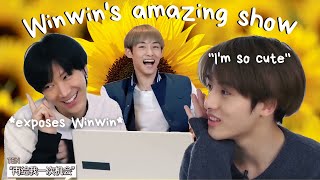 What happens when Winwin gets the content he deserves [upl. by Castara]