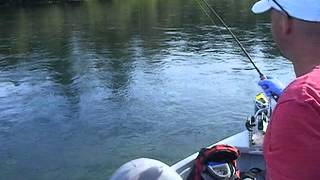 Sidedrifting for Steelhead  Cowlitz River [upl. by Esmerelda]