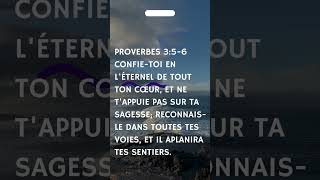 Proverbes 356 motivation life [upl. by Forcier]