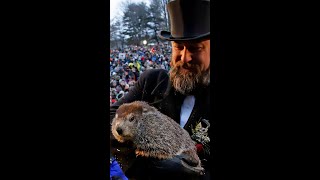 Punxsutawney Phil predicts an early spring [upl. by Octave611]