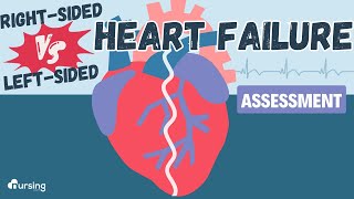 Heart Failure Right Sided vs Left Sided Assessment [upl. by Nohshan]